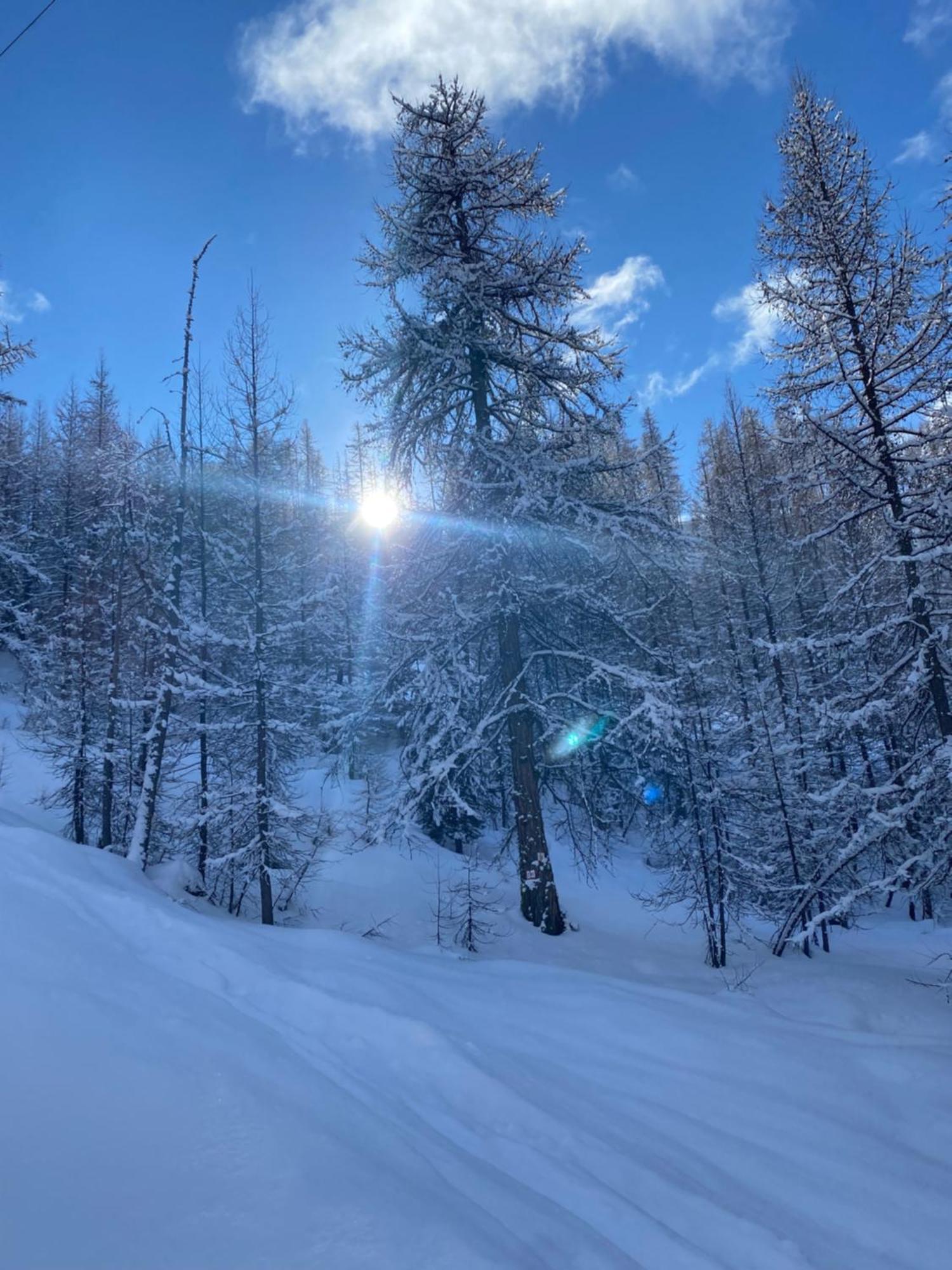 Le Chalet Des Sommets Arvieux Kültér fotó
